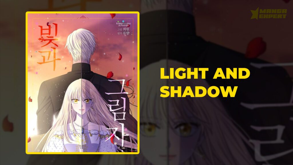 Top 15 Completed Romance Webtoons You Must Read Light and Shadow