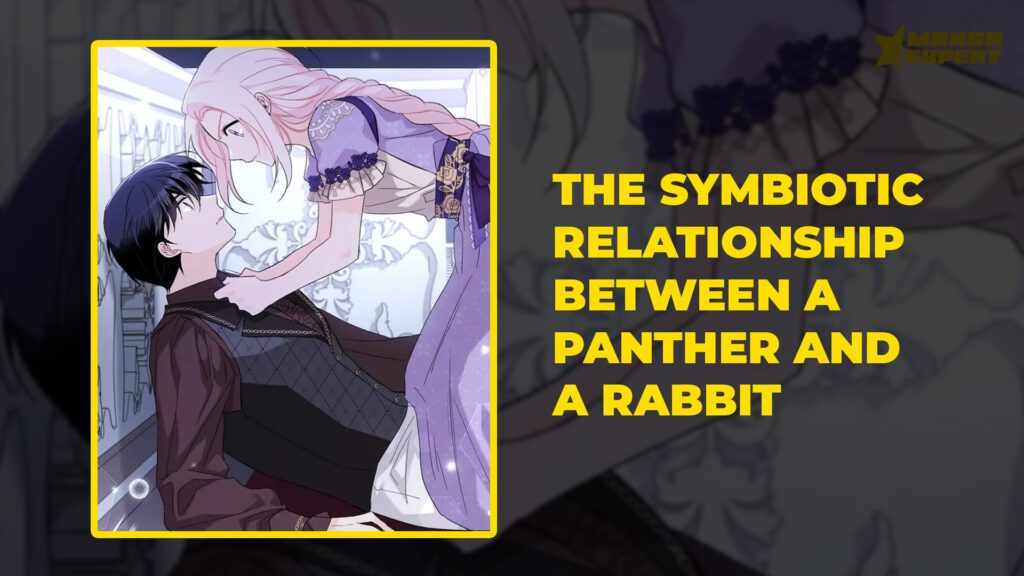 Top 15 Completed Romance Webtoons You Must Read The Symbiotic Relationship Between a Panther and a Rabbit