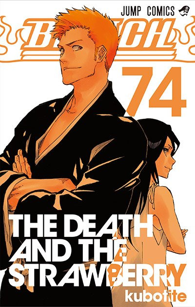 Bleach Manga Cover