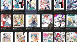 What is a Light Novel?